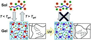 Graphical abstract: Photocurable ABA triblock copolymer-based ion gels utilizing photodimerization of coumarin