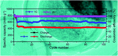 Graphical abstract: Improving the cycling stability of lithium–sulfur batteries by hollow dual-shell coating