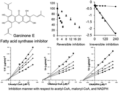 Graphical abstract: Inhibitory effects of garcinone E on fatty acid synthase