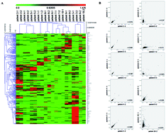 Graphical abstract: Metabolomics analysis of salvage chemotherapy on refractory acute myeloid leukemia patients