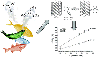 Graphical abstract: Room temperature amine sensors enabled by sidewall functionalization of single-walled carbon nanotubes