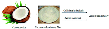 Graphical abstract: Adsorption activity of coconut (Cocos nucifera L.) cake dietary fibers: effect of acidic treatment, cellulase hydrolysis, particle size and pH