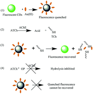 Graphical abstract: “Off–On” fluorescent sensing of organophosphate pesticides using a carbon dot–Au(iii) complex