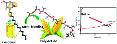 Graphical abstract: An environmentally sustainable plasticizer toughened polylactide