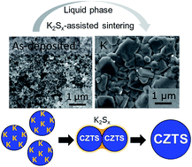 Graphical abstract: Liquid phase assisted grain growth in Cu2ZnSnS4 nanoparticle thin films by alkali element incorporation