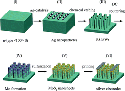 Graphical abstract: Highly enhanced response of MoS2/porous silicon nanowire heterojunctions to NO2 at room temperature