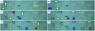 Graphical abstract: Trapping a moving droplet train by bubble guidance in microfluidic networks