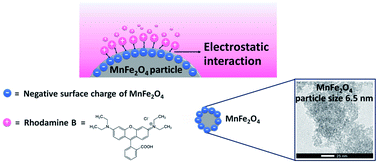 Graphical abstract: Effect of a pH-controlled co-precipitation process on rhodamine B adsorption of MnFe2O4 nanoparticles