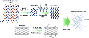 Graphical abstract: A p-type multi-wall carbon nanotube/Te nanorod composite with enhanced thermoelectric performance