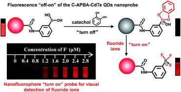 Graphical abstract: A single nanofluorophore “turn on” probe for highly sensitive visual determination of environmental fluoride ions