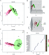 Graphical abstract: Metabolomic estimation of the diagnosis of hepatocellular carcinoma based on ultrahigh performance liquid chromatography coupled with time-of-flight mass spectrometry