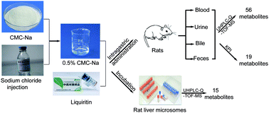 Graphical abstract: Identification of metabolites of liquiritin in rats by UHPLC-Q-TOF-MS/MS: metabolic profiling and pathway comparison in vitro and in vivo