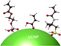 Graphical abstract: Systematic investigation of functional ligands for colloidal stable upconversion nanoparticles