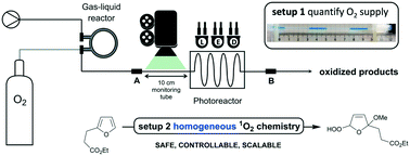 Graphical abstract: Singlet oxygen oxidations in homogeneous continuous flow using a gas–liquid membrane reactor