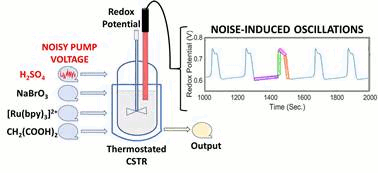 Graphical abstract: Feed rate noise modulates autocatalysis and shapes the oscillations of the Belousov–Zhabotinsky reaction in a continuous stirred tank reactor