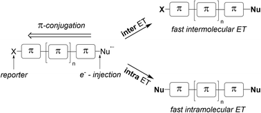 Graphical abstract: Intra- versus intermolecular electron transfer in radical nucleophilic aromatic substitution of dihalo(hetero)arenes – a tool for estimating π-conjugation in aromatic systems