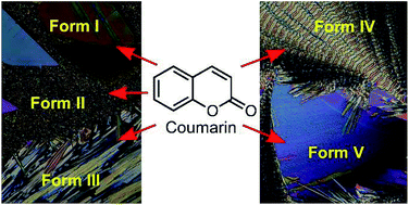 Graphical abstract: Powder diffraction and crystal structure prediction identify four new coumarin polymorphs