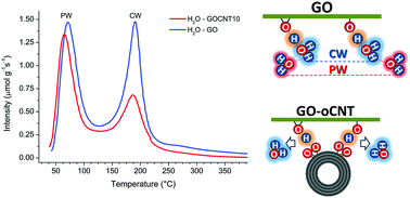 Graphical abstract: Graphene oxide–carbon nanotube hybrid assemblies: cooperatively strengthened OH⋯O [[double bond, length as m-dash]] C hydrogen bonds and the removal of chemisorbed water