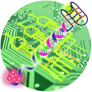 Graphical abstract: Integration of G-quadruplex and DNA-templated Ag NCs for nonarithmetic information processing