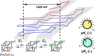 Graphical abstract: Synthetic control and empirical prediction of redox potentials for Co4O4 cubanes over a 1.4 V range: implications for catalyst design and evaluation of high-valent intermediates in water oxidation