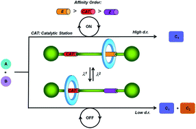 Graphical abstract: Photoswitchable interlocked thiodiglycolamide as a cocatalyst of a chalcogeno-Baylis–Hillman reaction