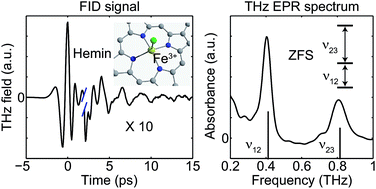 Graphical abstract: Rapid and precise determination of zero-field splittings by terahertz time-domain electron paramagnetic resonance spectroscopy