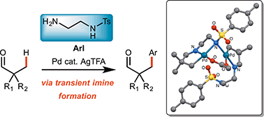 Graphical abstract: Single operation palladium catalysed C(sp3)–H functionalisation of tertiary aldehydes: investigations into transient imine directing groups