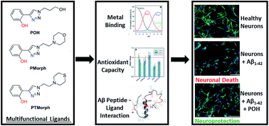 Graphical abstract: Multi-target-directed phenol–triazole ligands as therapeutic agents for Alzheimer's disease