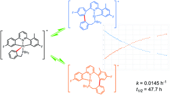 Graphical abstract: Reversible C–C bond formation at a triply cyclometallated platinum(iv) centre