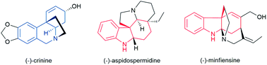 Graphical abstract: Efficient syntheses of (−)-crinine and (−)-aspidospermidine, and the formal synthesis of (−)-minfiensine by enantioselective intramolecular dearomative cyclization