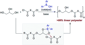 Graphical abstract: Catalyst-controlled polycondensation of glycerol with diacyl chlorides: linear polyesters from a trifunctional monomer