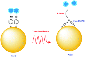 Graphical abstract: Utilizing light-triggered plasmon-driven catalysis reactions as a template for molecular delivery and release