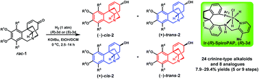 Graphical abstract: Bioinspired enantioselective synthesis of crinine-type alkaloids via iridium-catalyzed asymmetric hydrogenation of enones