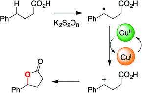 Graphical abstract: Mechanistic analysis of a copper-catalyzed C–H oxidative cyclization of carboxylic acids