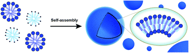 Graphical abstract: De novo vesicle formation and growth: an integrative approach to artificial cells