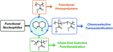 Graphical abstract: Synthetic upcycling of polyacrylates through organocatalyzed post-polymerization modification