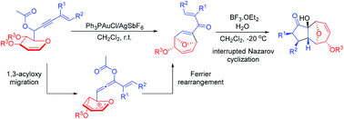 Graphical abstract: Asymmetric syntheses of 8-oxabicyclo[3,2,1]octane and 11-oxatricyclo[5.3.1.0]undecane from glycals