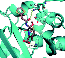 Graphical abstract: Predicting allosteric mutants that increase activity of a major antibiotic resistance enzyme