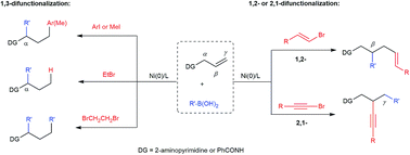 Graphical abstract: Nickel-catalyzed difunctionalization of allyl moieties using organoboronic acids and halides with divergent regioselectivities
