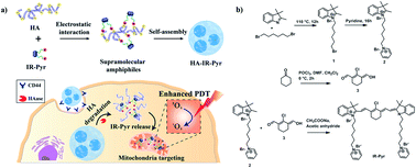 Graphical abstract: Cancer-mitochondria-targeted photodynamic therapy with supramolecular assembly of HA and a water soluble NIR cyanine dye