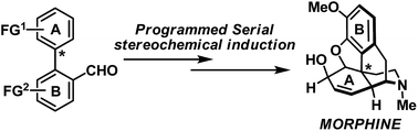 Graphical abstract: Programmed serial stereochemical relay and its application in the synthesis of morphinans