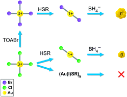 Graphical abstract: The significance of bromide in the Brust–Schiffrin synthesis of thiol protected gold nanoparticles