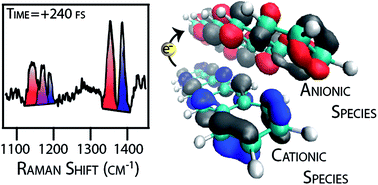 Graphical abstract: Femtosecond stimulated Raman evidence for charge-transfer character in pentacene singlet fission