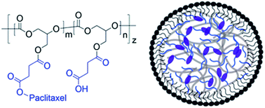 Graphical abstract: Synthesis of poly(1,2-glycerol carbonate)–paclitaxel conjugates and their utility as a single high-dose replacement for multi-dose treatment regimens in peritoneal cancer