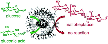 Graphical abstract: Water dispersible surface-functionalized platinum/carbon nanorattles for size-selective catalysis