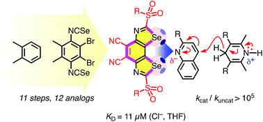 Graphical abstract: Catalysis with chalcogen bonds: neutral benzodiselenazole scaffolds with high-precision selenium donors of variable strength