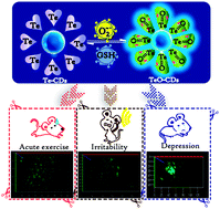 Graphical abstract: Te-containing carbon dots for fluorescence imaging of superoxide anion in mice during acute strenuous exercise or emotional changes