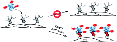 Graphical abstract: Target-activated streptavidin–biotin controlled binding probe