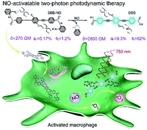 Graphical abstract: Nitric oxide activatable photosensitizer accompanying extremely elevated two-photon absorption for efficient fluorescence imaging and photodynamic therapy