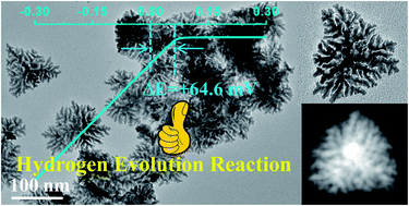 Graphical abstract: Polyethyleneimine functionalized platinum superstructures: enhancing hydrogen evolution performance by morphological and interfacial control